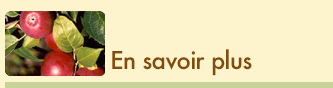 en savoir plus