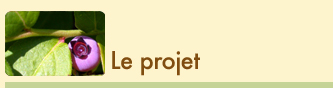 le projet